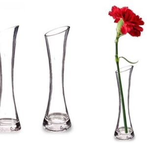 Vase soliflore concave en verre