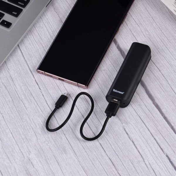 batterie de secours 2200 mAh