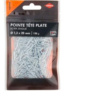 Pointes tête plate 120g