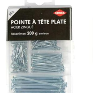 Pointes têtes plates assorties