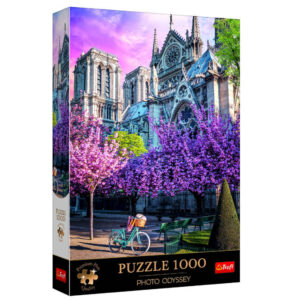 puzzle notre dame de paris 1000 pièces